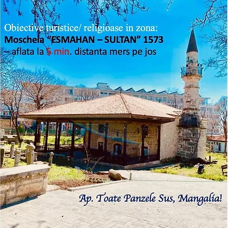 Apartamento Toate Panzele Sus